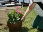 Gärtner, Garten- und Landschaftsbauer oder ähnliche Berufe (m/d/w) 35h - Vollzeit