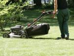 Gruppenleitung im Bereich Gärtner, Garten- und Landschaftsbauer oder ähnliche Berufe (m/d/w) 35h- 38,5 Std./Woche